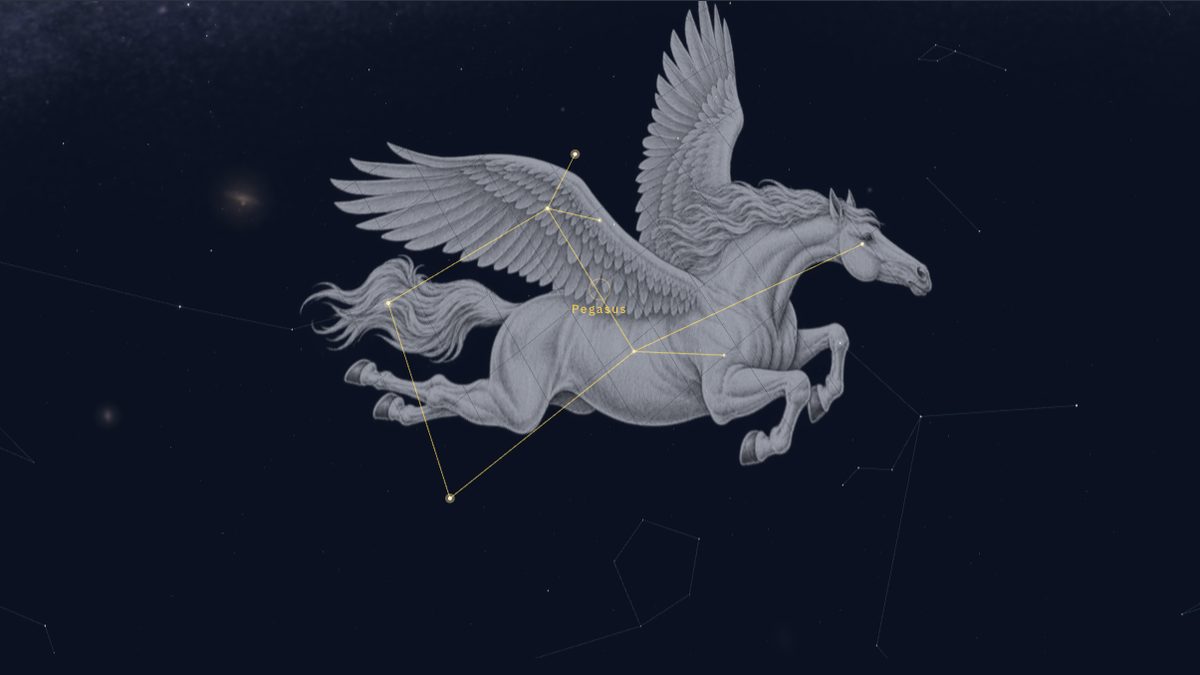 NowSky sky view with Pegasus selected, the winged-horse artwork drawn over its constellation lines